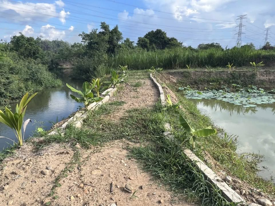 Đất Phú Hài 6000m² giá 1.2 tỷ - View sông đẹp, đầu tư sinh lời!