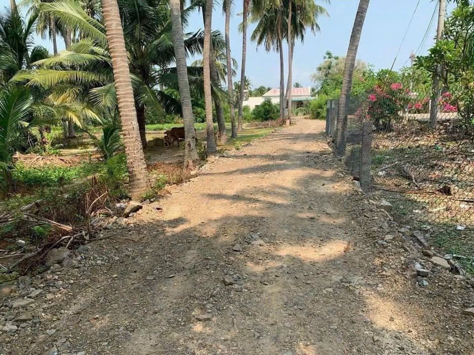 Đất cây trồng 645m² thôn 4 Hàm Đức - Ô tô vào tận nơi chỉ 280 triệu