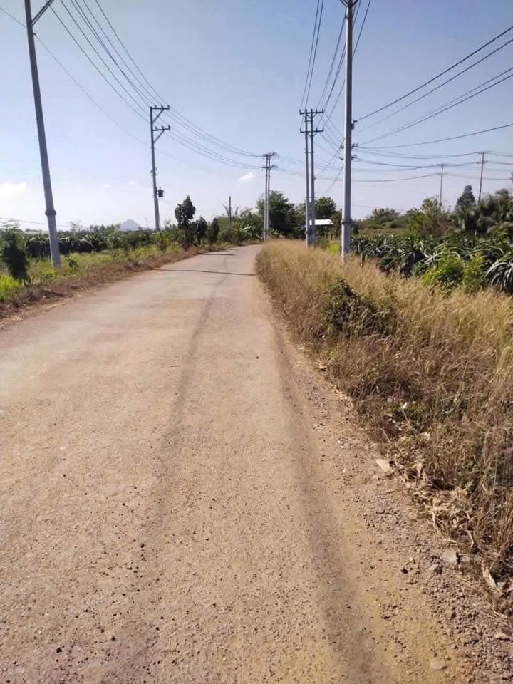 Đất thổ cư mặt tiền đường bê tông xã Hàm Hiệp 2000m² giá chỉ 800 triệu