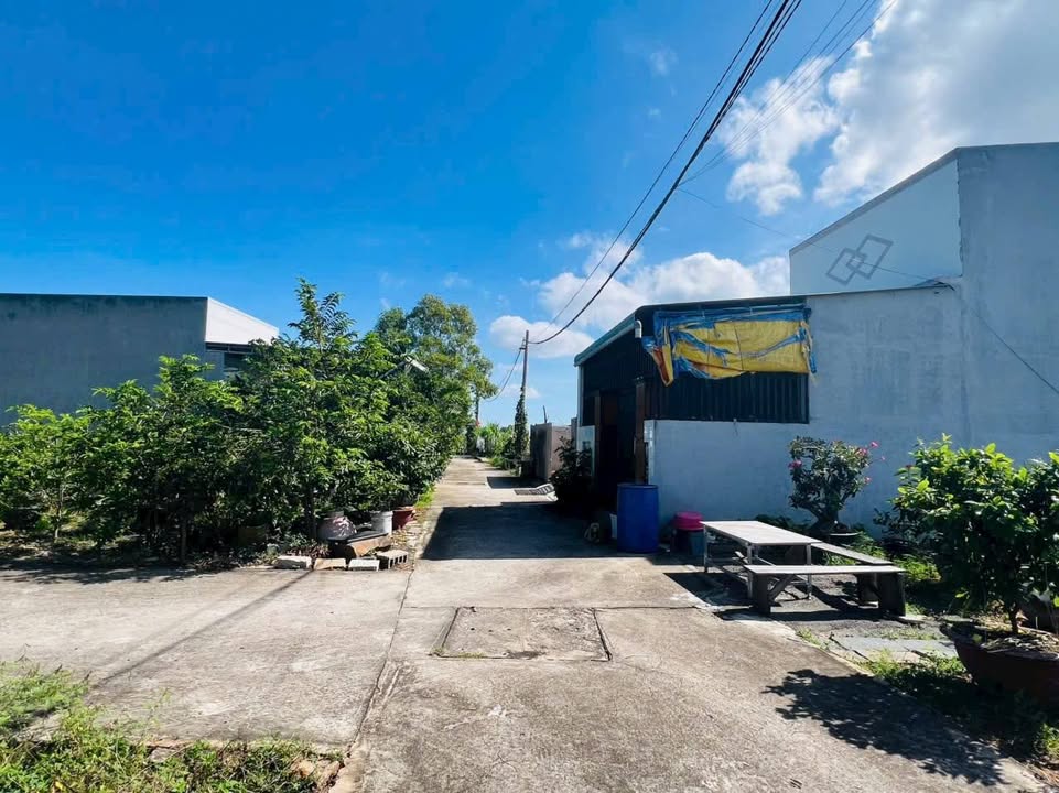 Đất thổ cư Phong Nẫm 160m² giá thỏa thuận - Khu vực cao ráo, ô tô vào thoải mái!