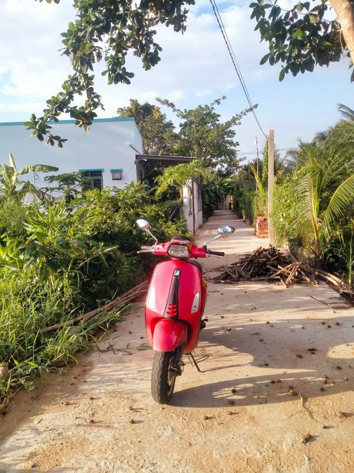 Đất nền 88m² tại ấp 4 Đạo Thạnh, Mỹ Tho - Giá chỉ 800 triệu, sổ hồng chính chủ!