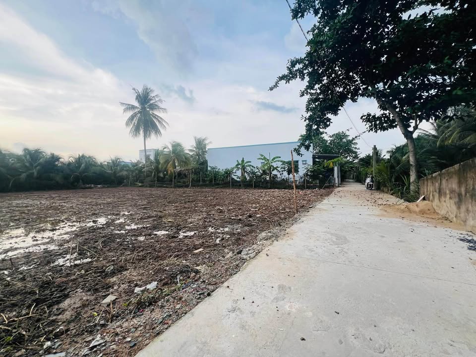 Đất nền 99m² Đạo Thạnh, Mỹ Tho giá 800 triệu - Nhanh tay sở hữu!