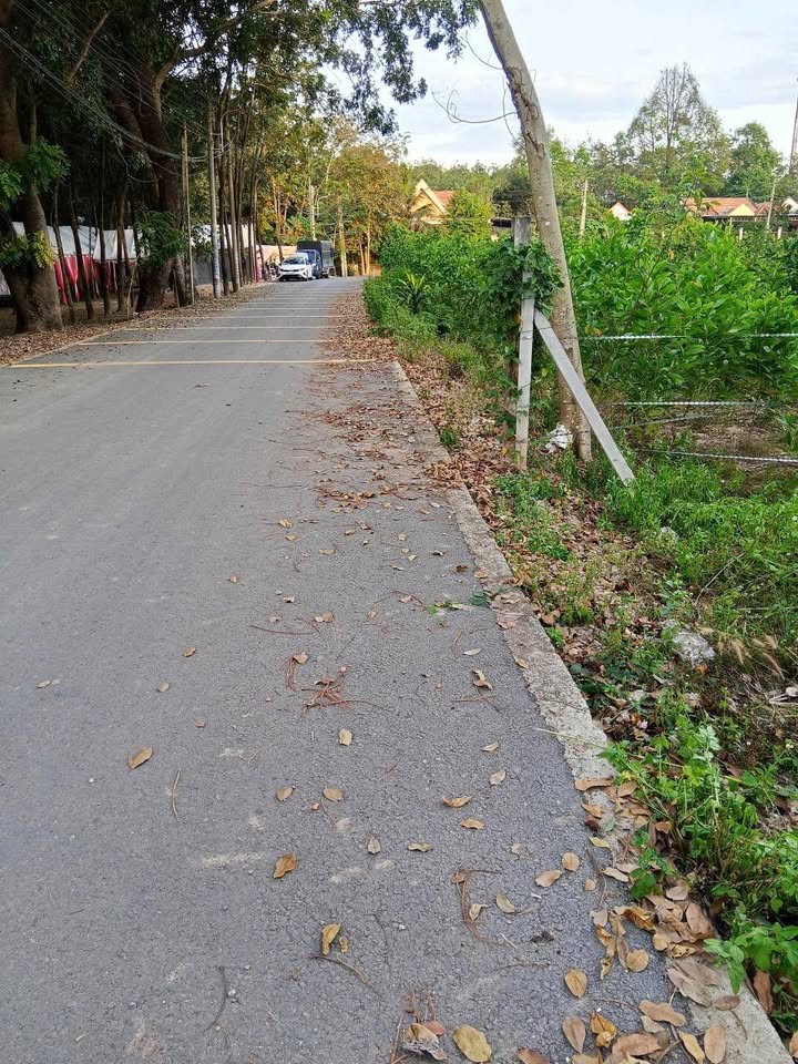 Đất thổ cư Hòa Lợi, Bến Cát 228m² giá chỉ 1.1 tỷ - Cơ hội đầu tư tuyệt vời!