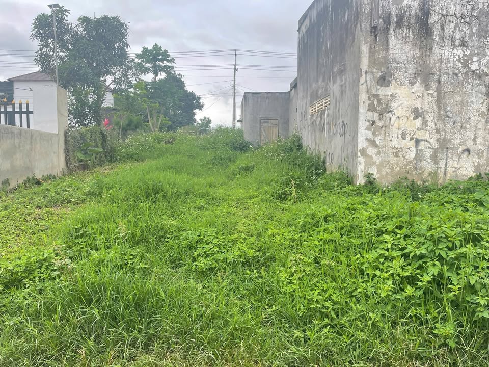 Đất nền thổ cư 600m² tại Xã Tu Tra, Đơn Dương - Giá chỉ 1 tỷ!