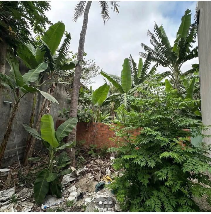 Lô đất Trần Quang Diệu, Quy Nhơn 47m² giá 700 triệu - Sổ đỏ chính chủ, cơ hội đầu tư tuyệt vời!