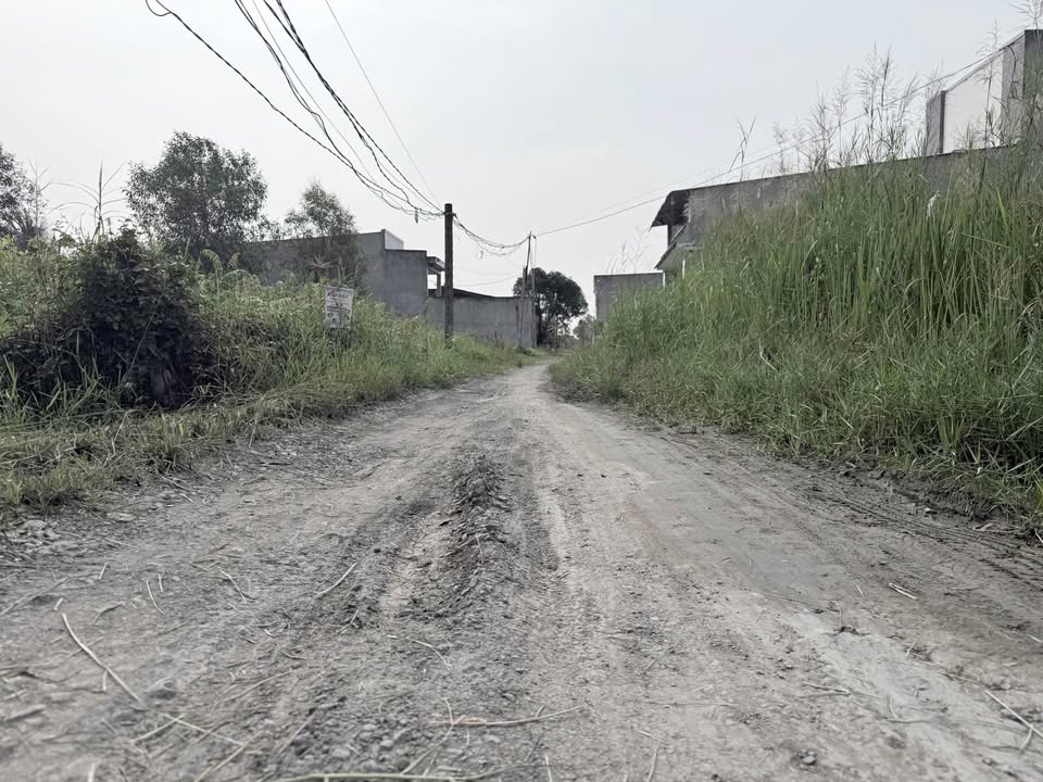 Đất nền Hựu Thạnh, Đức Hòa, Long An 200m² giá 880 triệu - Đầu tư sinh lời ngay!