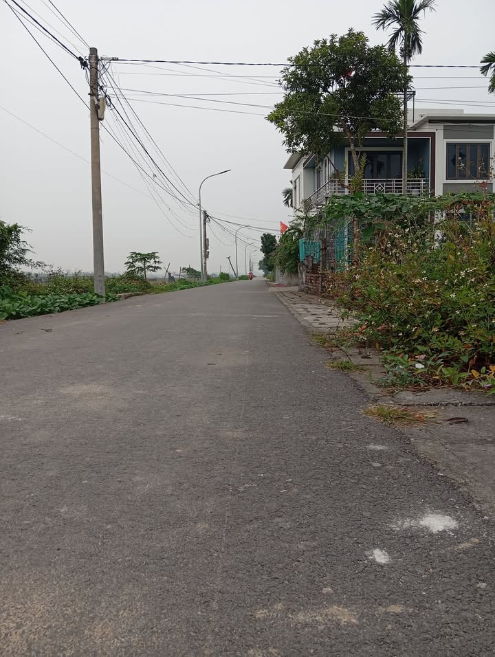 Đất thổ cư thôn Trung Lang, An Thái 99m² giá 1 tỷ - Chính chủ cần bán gấp!