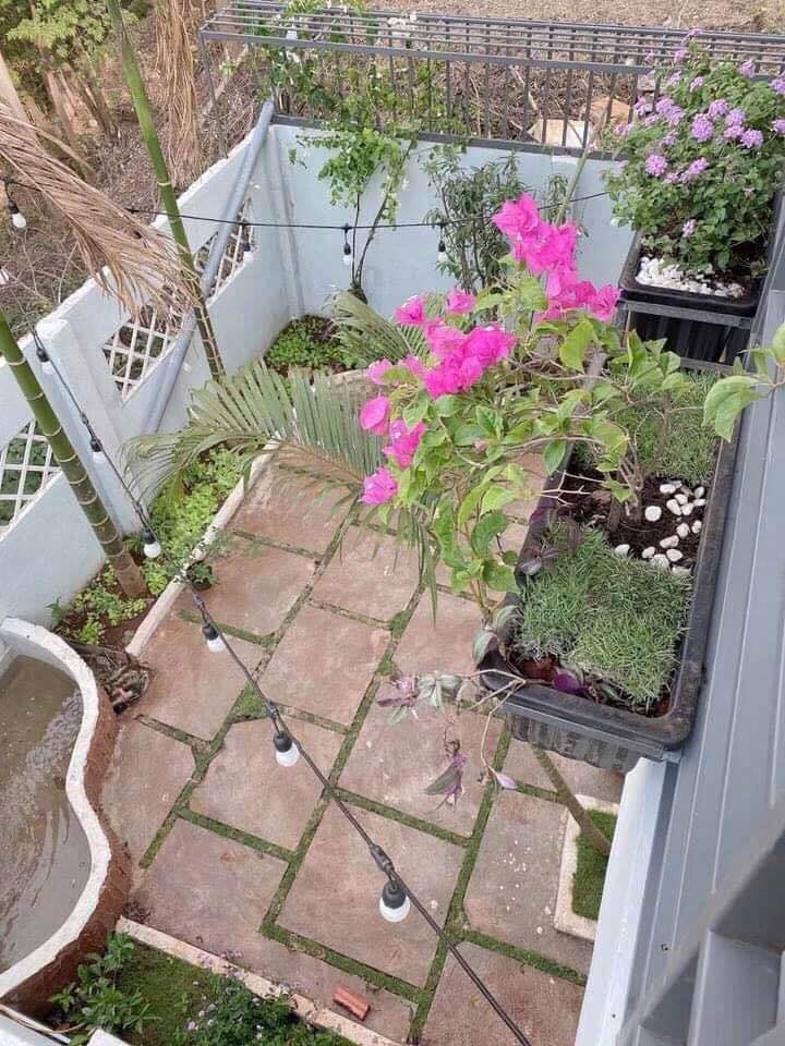 Nhà phố Trương Đăng Quế, Tân Lợi 150m² giá 4.25 tỷ - Không gian sống lý tưởng!