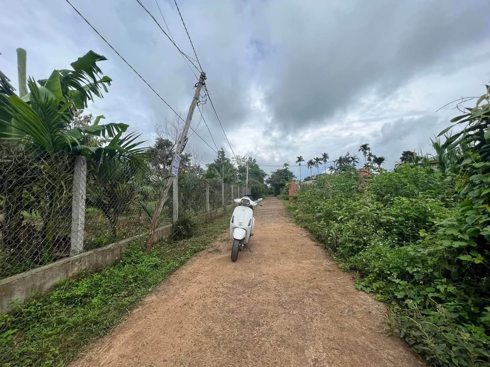 Đất nền Tân Lập Buôn Ma Thuột 240m² giá chỉ 990 triệu - Cơ hội đầu tư tuyệt vời!