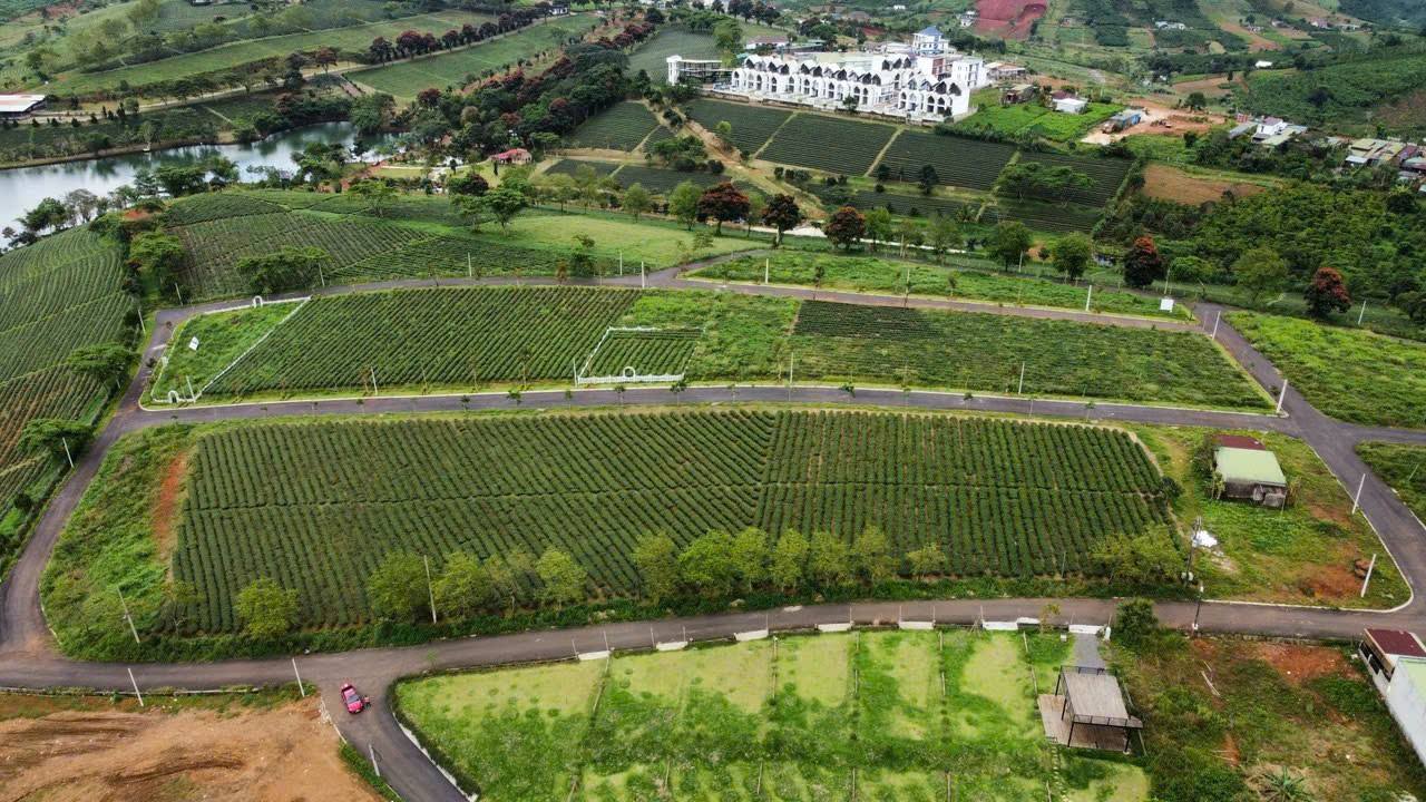 Đất nền Bảo Lộc 105m² giá 500 triệu - View đồi chè tuyệt đẹp!