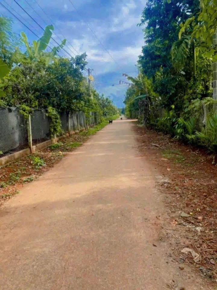 Nhà mặt tiền D3, phường Tân An, Buôn Ma Thuột 125m² giá chỉ 1.35 tỷ - Tiện ích đầy đủ!