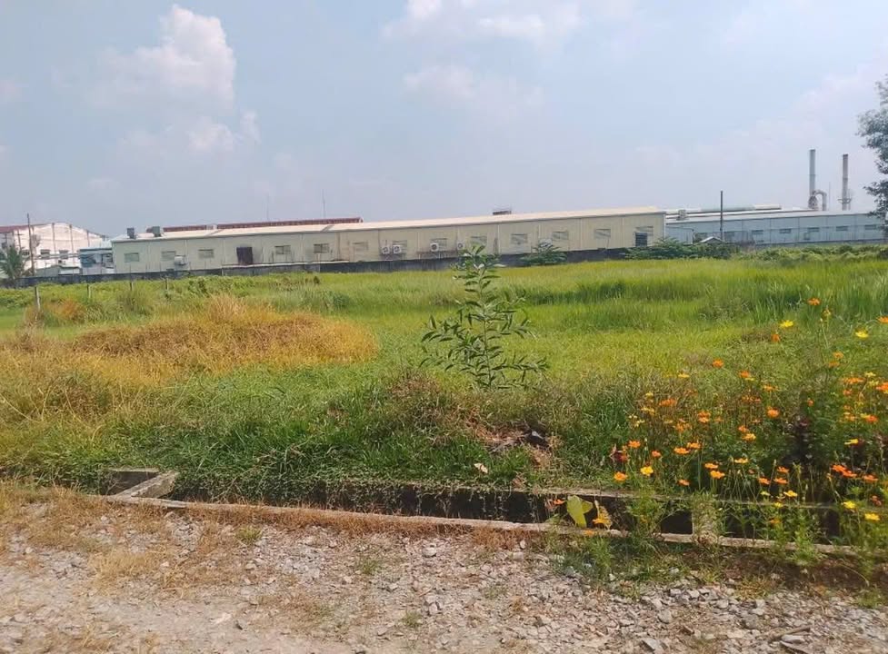 Đất Vườn Tân An Hội Củ Chi 2582m² giá 2.95 tỷ - Đường ô tô rộng rãi, dân cư đông đúc!