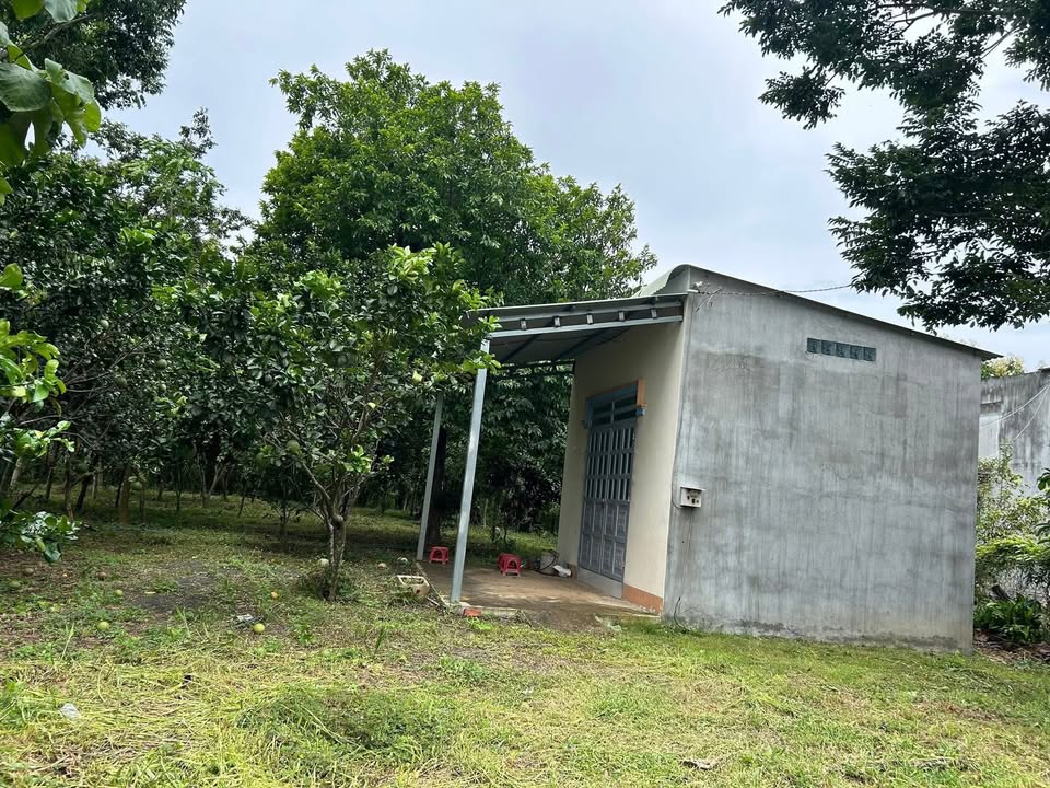 Đất nền Lộc Hiệp 828m² giá 400 triệu - Sổ đỏ chính chủ, điện nước đầy đủ!