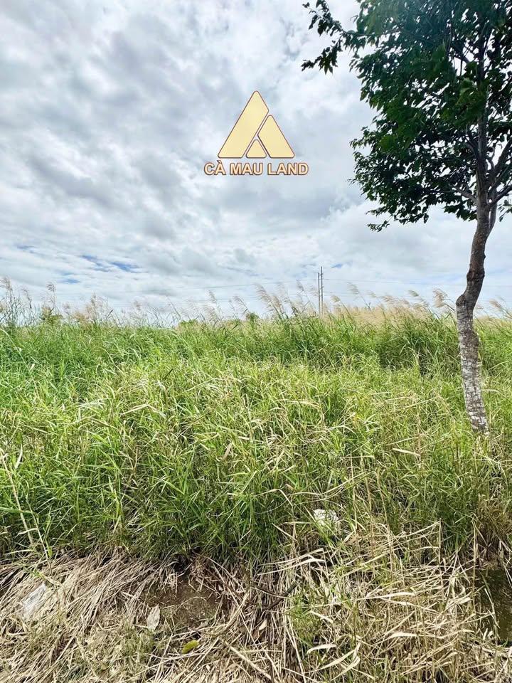 Đất nền Tân Xuyên Cà Mau 125m² giá 920 triệu - Hạ tầng hoàn chỉnh, đầu tư sinh lời!