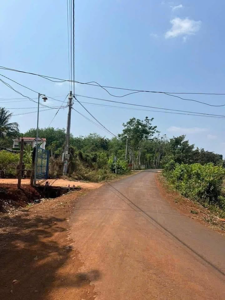 Đất nền ấp 7 Lộc An, 210m² giá thỏa thuận - Sổ đỏ chính chủ, mặt tiền nhựa rộng rãi!