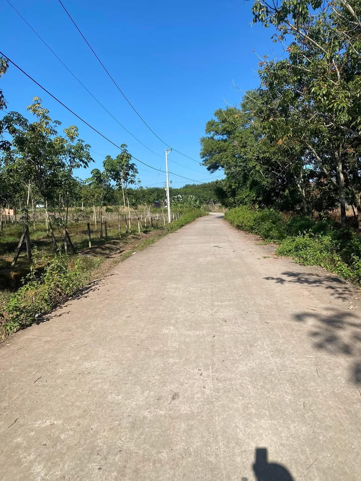 Đất nền Lộc Khánh 20.000m² giá 440 triệu - Sổ đỏ chính chủ, đầu tư sinh lời!