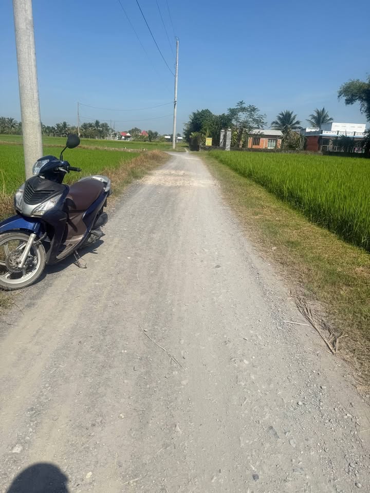 Đất nền Hòa Khánh Đức Hòa 150m² chỉ 700 triệu - Sổ hồng riêng, thổ cư 100%!