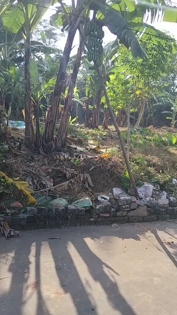 Đất thổ cư Đồng Việt, Yên Dũng 100m² giá thỏa thuận - Cơ hội đầu tư tốt!