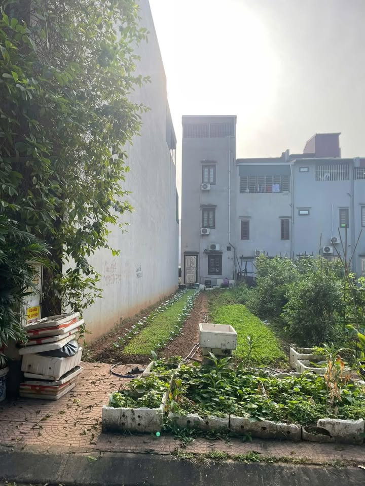 Lô đất Giãn Dân Bãi Nếp, Võ Cường, Bắc Ninh 98.9m² - Sổ đỏ chính chủ, giá thương lượng!