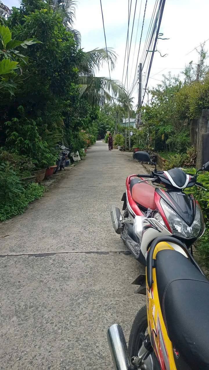 Đất + Nhà cấp 4 phường Mỹ Trà 587m² giá 2.5 tỷ - Tiềm năng đầu tư lớn!