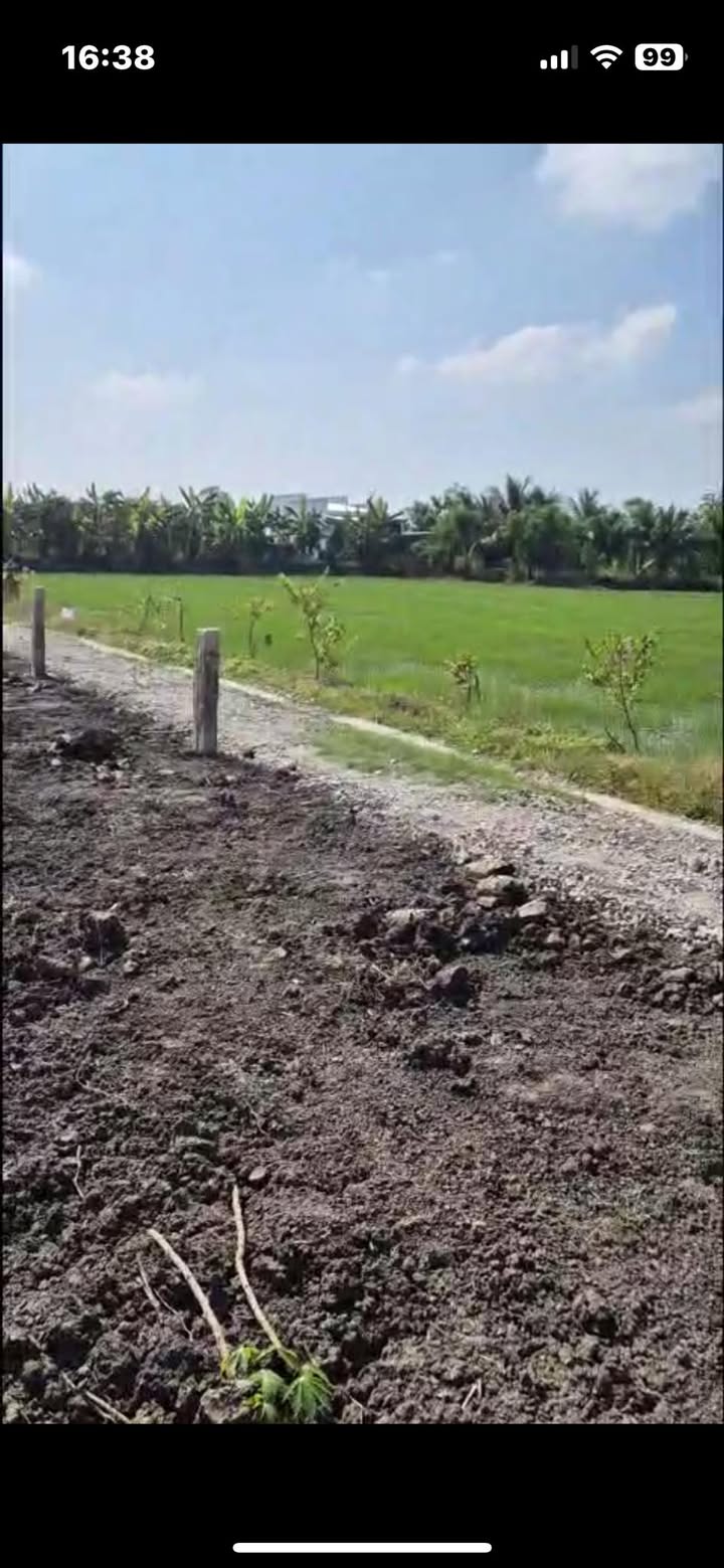 Đất nền 1005m² Tân Trung, Gò Công - Giá chỉ 600 triệu, đầu tư sinh lời!