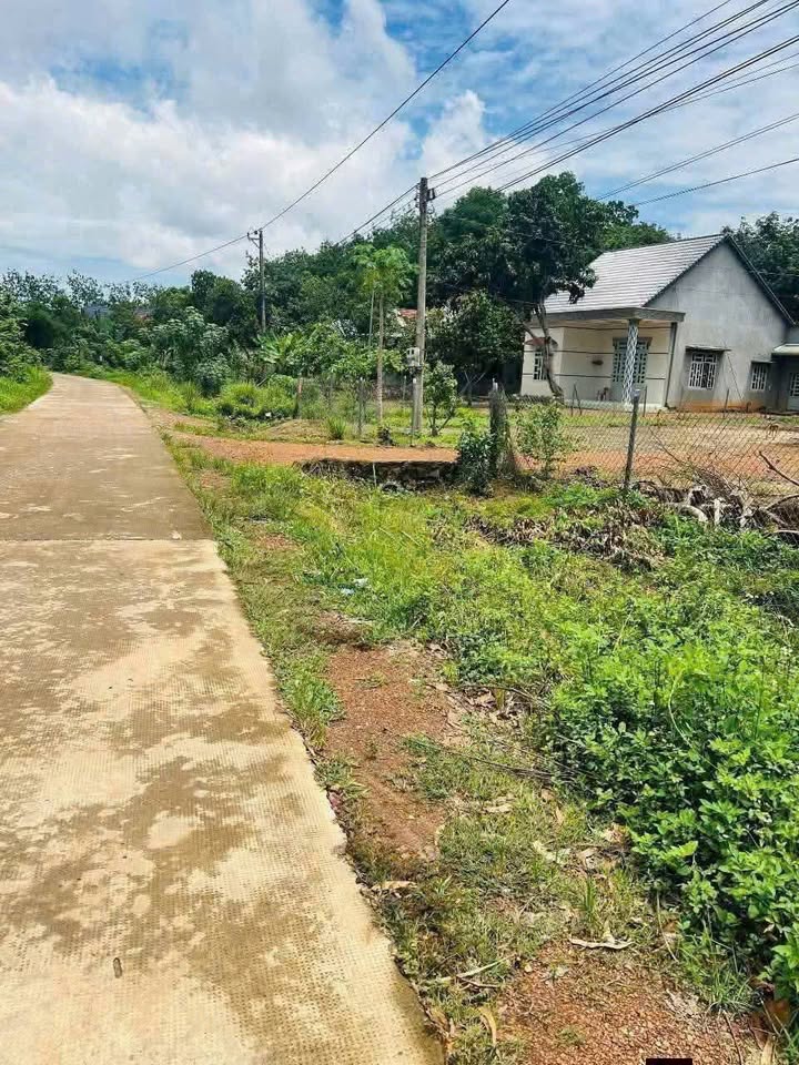 Đất nền Đồng Tiến, Đồng Phú, Bình Phước 19200m² - Cơ hội đầu tư sinh lời!