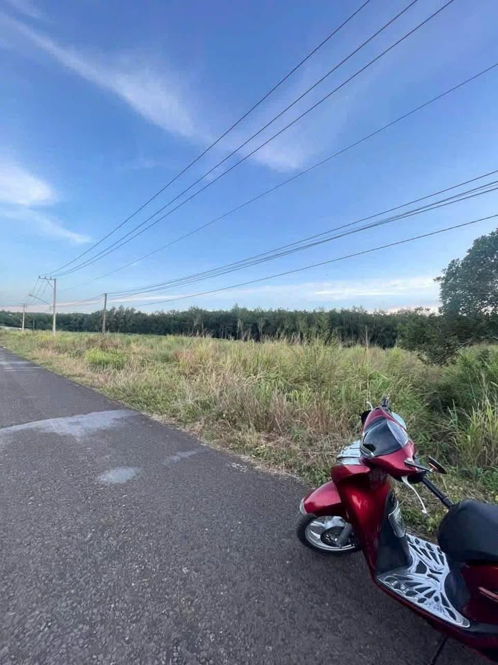 Đất mặt tiền đường nhựa Tân Hưng 4230m² giá 700 triệu - Cơ hội đầu tư tuyệt vời!