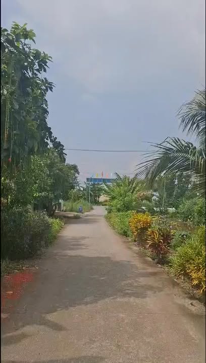 Đất thổ cư 171m² tại Kênh Cây Xanh, Củ Chi giá 2.85 tỷ - Đầu tư sinh lời ngay!