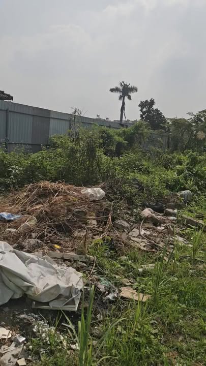 Đất Sổ Chờ Thạnh Xuân 25, Quận 12, 130.4m² giá 4.1 tỷ - Thương lượng hấp dẫn!