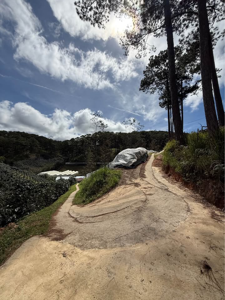 Đất nền 1500m² Xuân Thọ Đà Lạt giá 1.65 tỷ - Sổ đỏ chính chủ, view tuyệt đẹp!