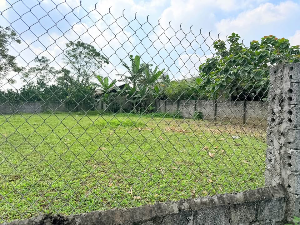 Đất thổ cư 400m² tại Xuân Thủy, Yên Lập - Giá chỉ 300 triệu