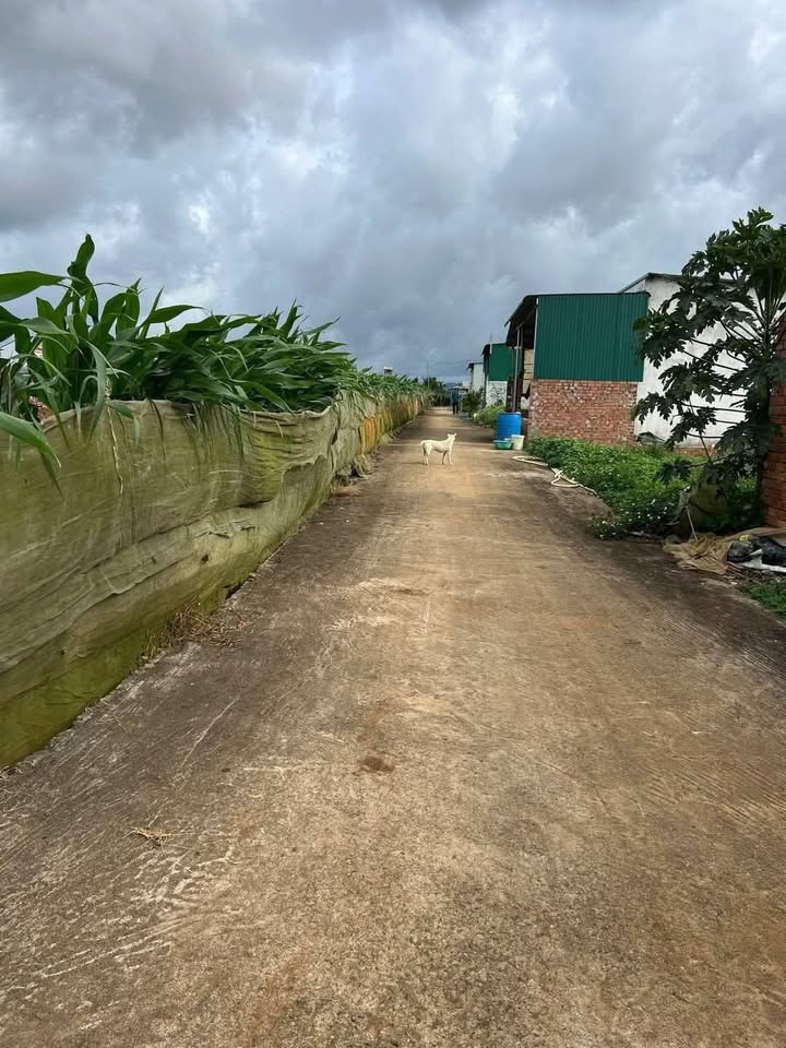 Đất nền Ka Đô Đơn Dương 111m² giá 480 triệu - Sổ đỏ chính chủ!