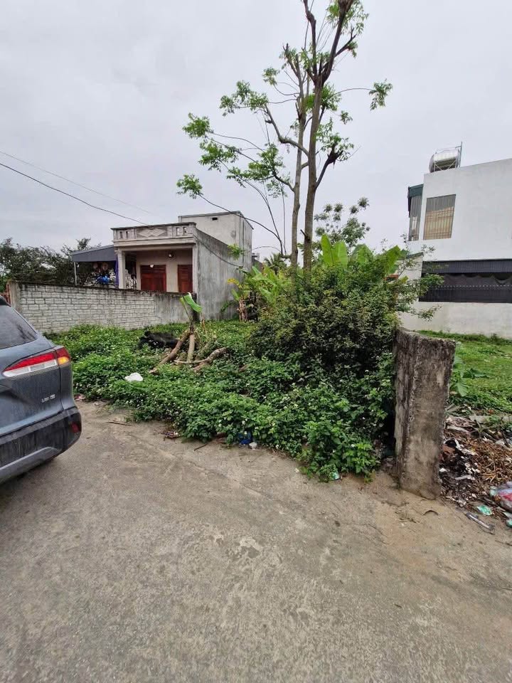 Đất thổ cư Quảng Thọ Sầm Sơn 135m² giá 1 tỷ - Cơ hội đầu tư hấp dẫn!