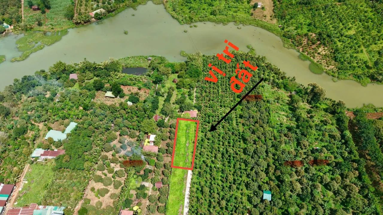 Đất thổ cư 663.8m² phường Tân An - Sát hồ Đạt Lý, giá tốt cho đầu tư!