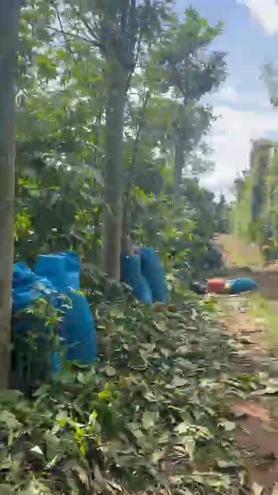 Đất nền phường Buôn Ma Thuột 7200m² giá 1.35 tỷ - Cơ hội đầu tư sinh lời!