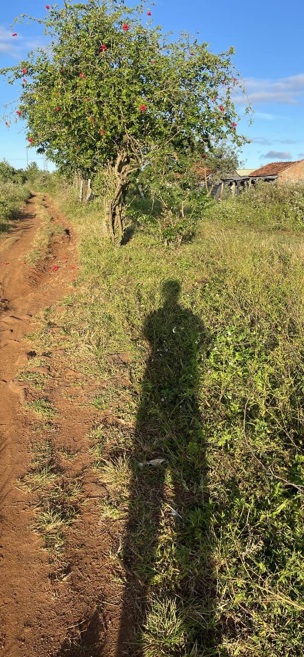 Đất Farm 17ha tại Đắk Lắk - Giá thỏa thuận, sổ đỏ chính chủ!