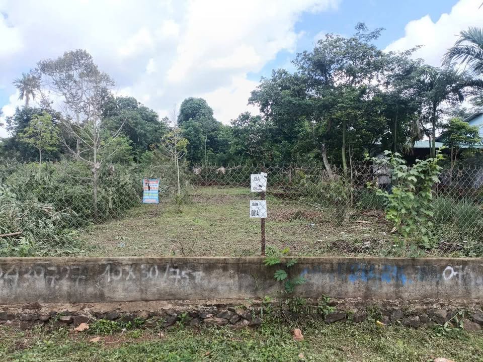 Đất nền Tân Lập Buôn Ma Thuột 320m² giá 1.89 tỷ - Đầu tư sinh lời tuyệt vời!