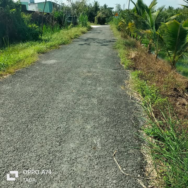 Đất vườn Hòa Tịnh, Mang Thít 4850m² giá 2.5 tỷ - Đầu tư sinh lời ngay!