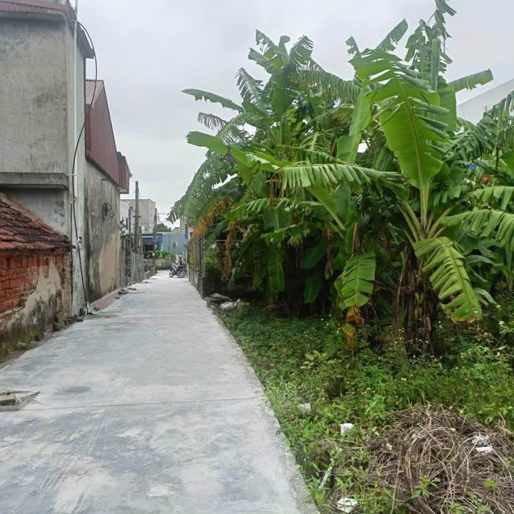 Đất nền xã Nghĩa Hưng 107m² giá 1.18 tỷ - Đầu tư sinh lời ngay!