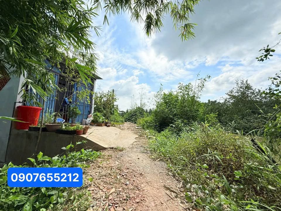 Đất nền thổ cư Ngãi Tứ, Tam Bình 50m² giá chỉ 115 triệu - Sổ hồng chính chủ!