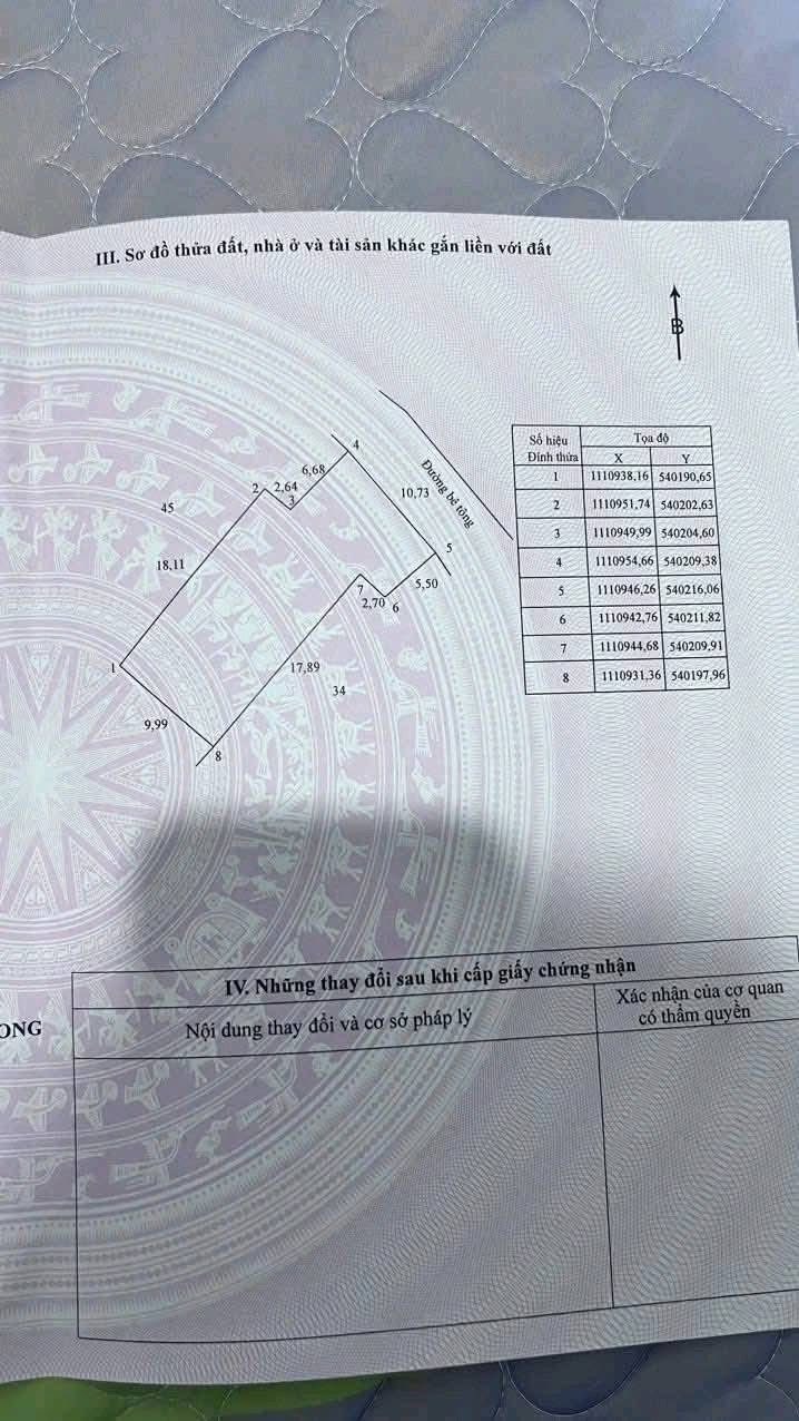 Đất nền mặt tiền 10m tại phường Đông Thành, Bình Minh, Vĩnh Long - Chỉ 830 triệu