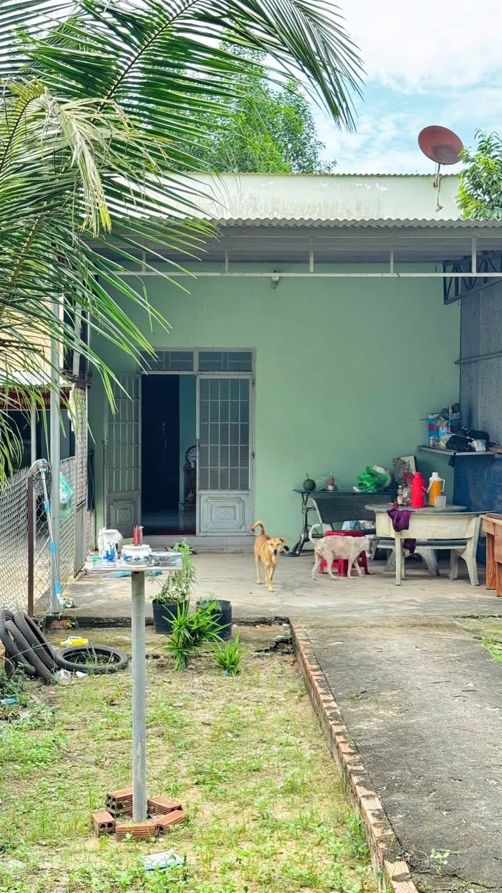 Nhà bán Long Thành 150m² giá 1.85 tỷ - Sổ đỏ chính chủ, thổ cư 100%!