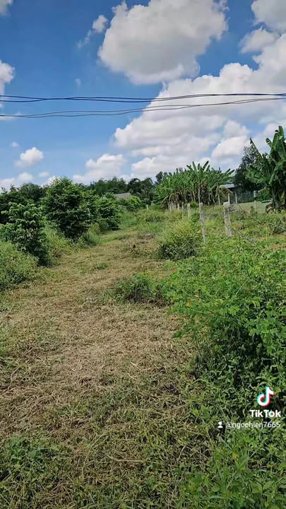 Đất nền Trảng Bàng 200m² giá 600 triệu - Cách đường nhựa 100m!