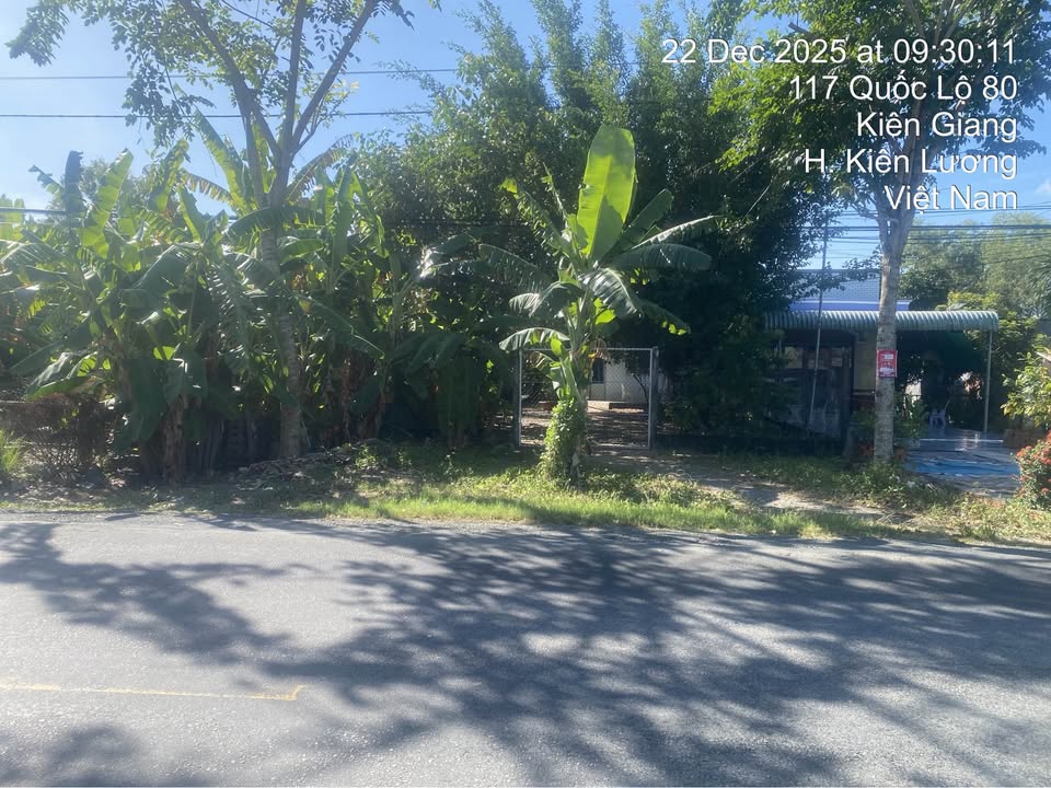 Nhà cấp 4 & trại gà mặt tiền Quốc lộ 80, 700m² chỉ 1.85 tỷ - Đầu tư sinh lời!