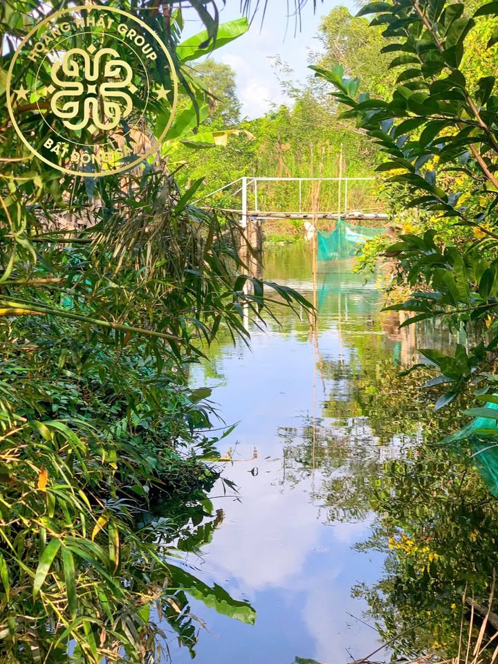 Đất nền mặt tiền view kênh Thủy Lợi Cà Mau 838m² giá 2 tỷ - Đầu tư sinh lời hấp dẫn!