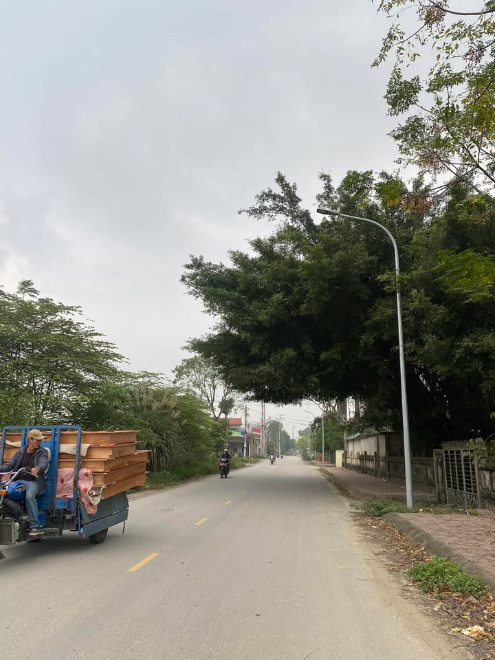 Đất nền trục chính đường liên xã Thiệu Khánh 98m² giá chỉ 1.3 tỷ - Cơ hội đầu tư hấp dẫn!