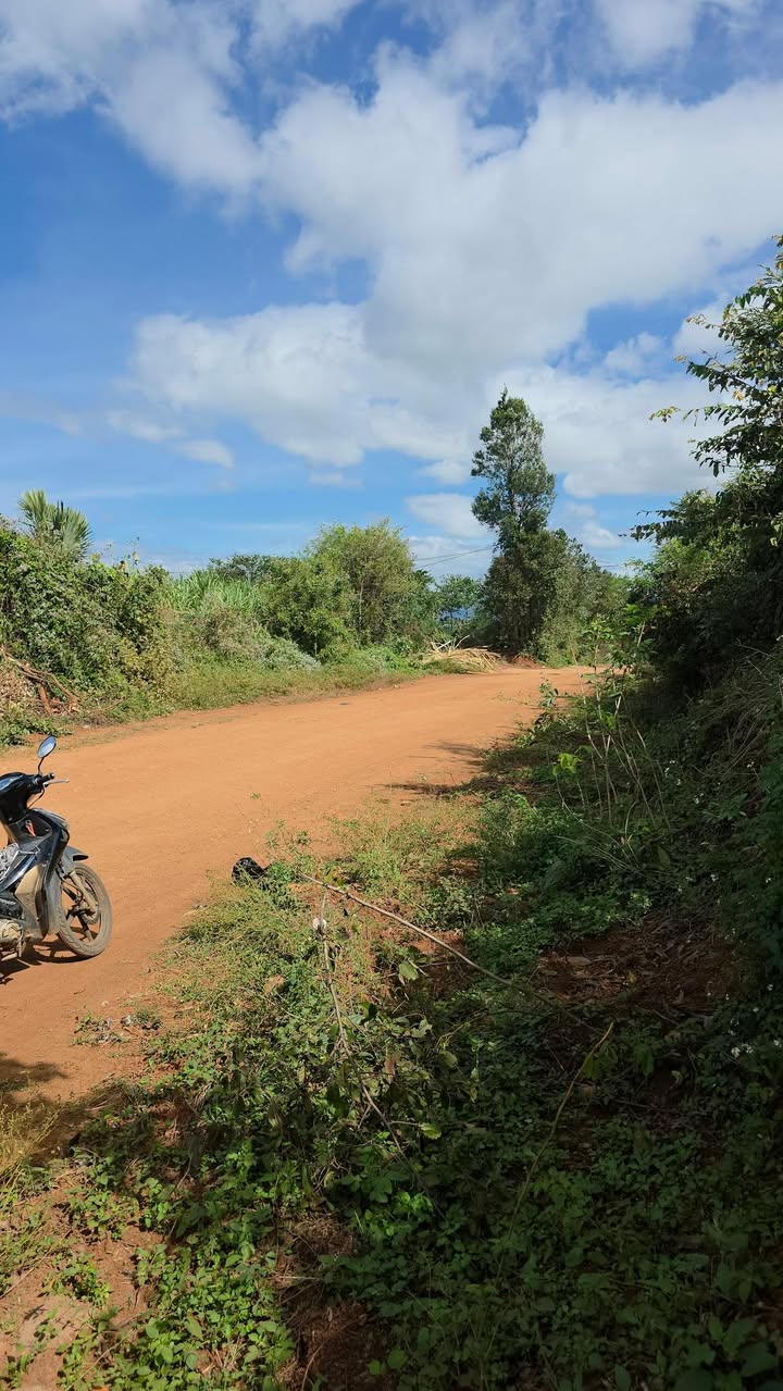 Bán lô đất vườn 9 sào tại H Bông, Chư Sê, Gia Lai - Đất đẹp, sổ tay 680 triệu!