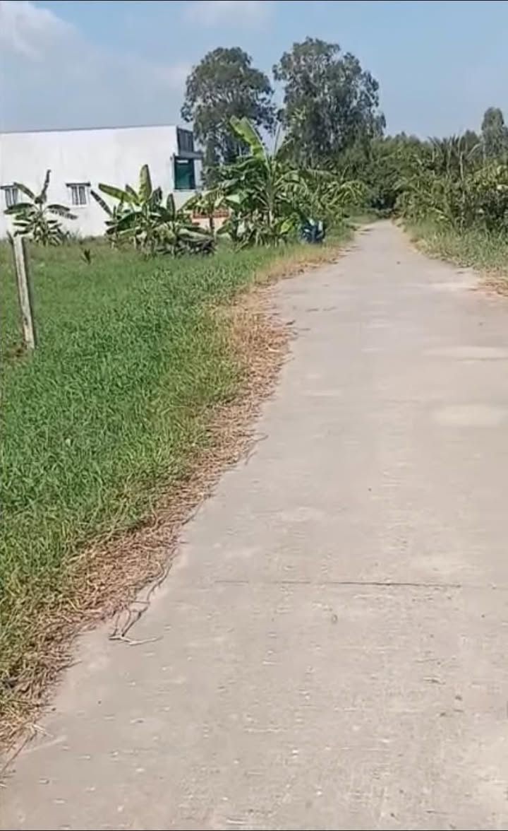 Đất mặt tiền đường Đan, Phú Lễ, Ba Tri 585m² giá chỉ 600 triệu - Đầu tư sinh lời ngay!