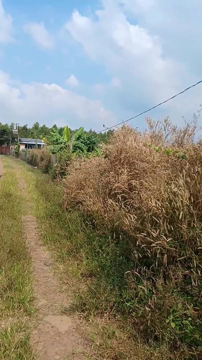 Đất nền Châu Đức 720m² giá 780 triệu - Mặt tiền 34m, gần đường nhựa!