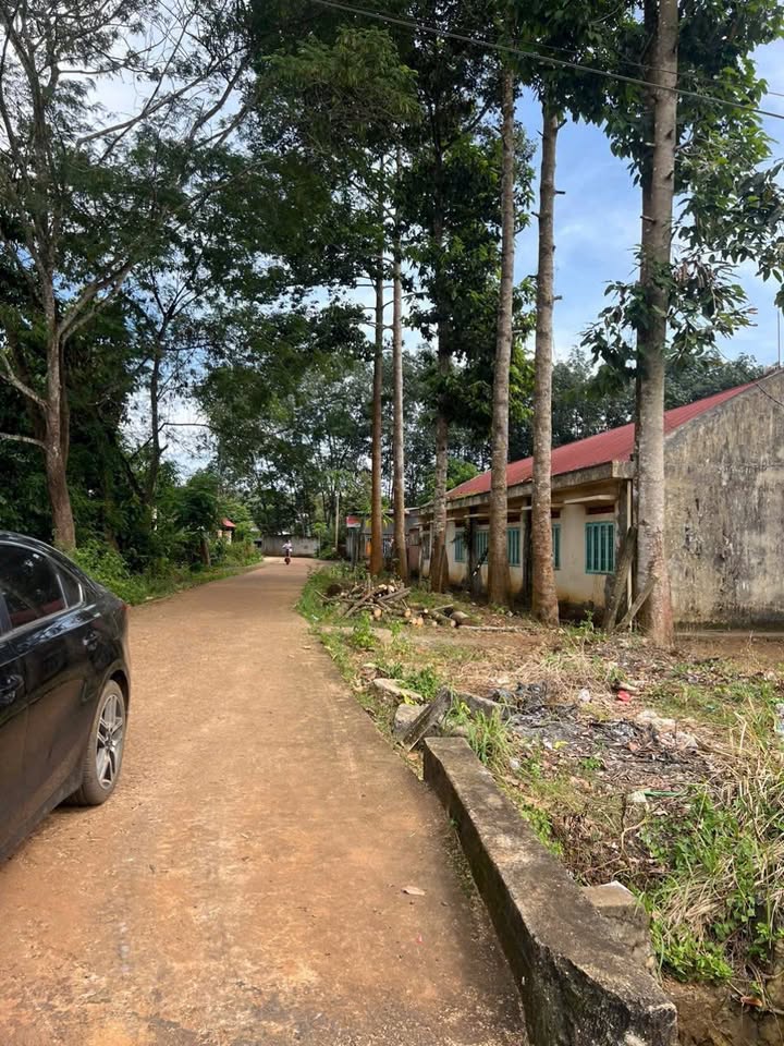 Đất nền Tân Hưng, Hớn Quản, Bình Phước 190m² giá 250 triệu - Cơ hội đầu tư hấp dẫn!